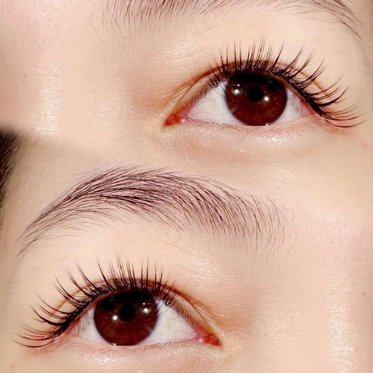 Nối Mi Volume Mắt Mèo: Giải Pháp Cho Đôi Mắt Cuốn Hút 7 Noi mi volume mat meo Ms Hani 1