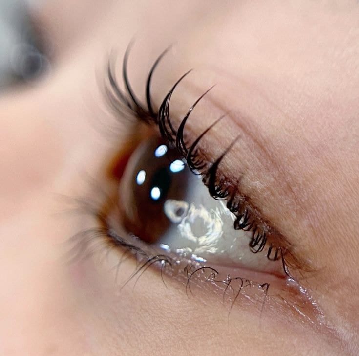 Hướng Dẫn Cách Bảo Quản Mi Nối Hiệu Quả Nhất 10 cach bao quan mi noi Ms Hani 1