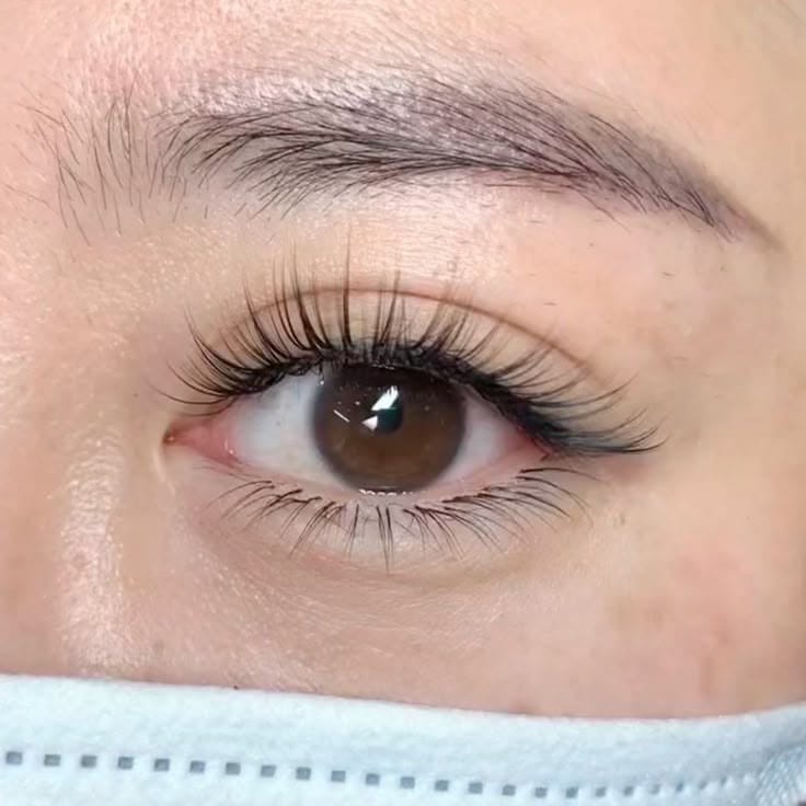 Hướng Dẫn Cách Bảo Quản Mi Nối Hiệu Quả Nhất 13 cach bao quan mi noi Ms Hani 4