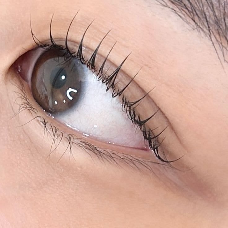 Hướng Dẫn Cách Bảo Quản Mi Nối Hiệu Quả Nhất 9 cach bao quan mi noi Ms Hani