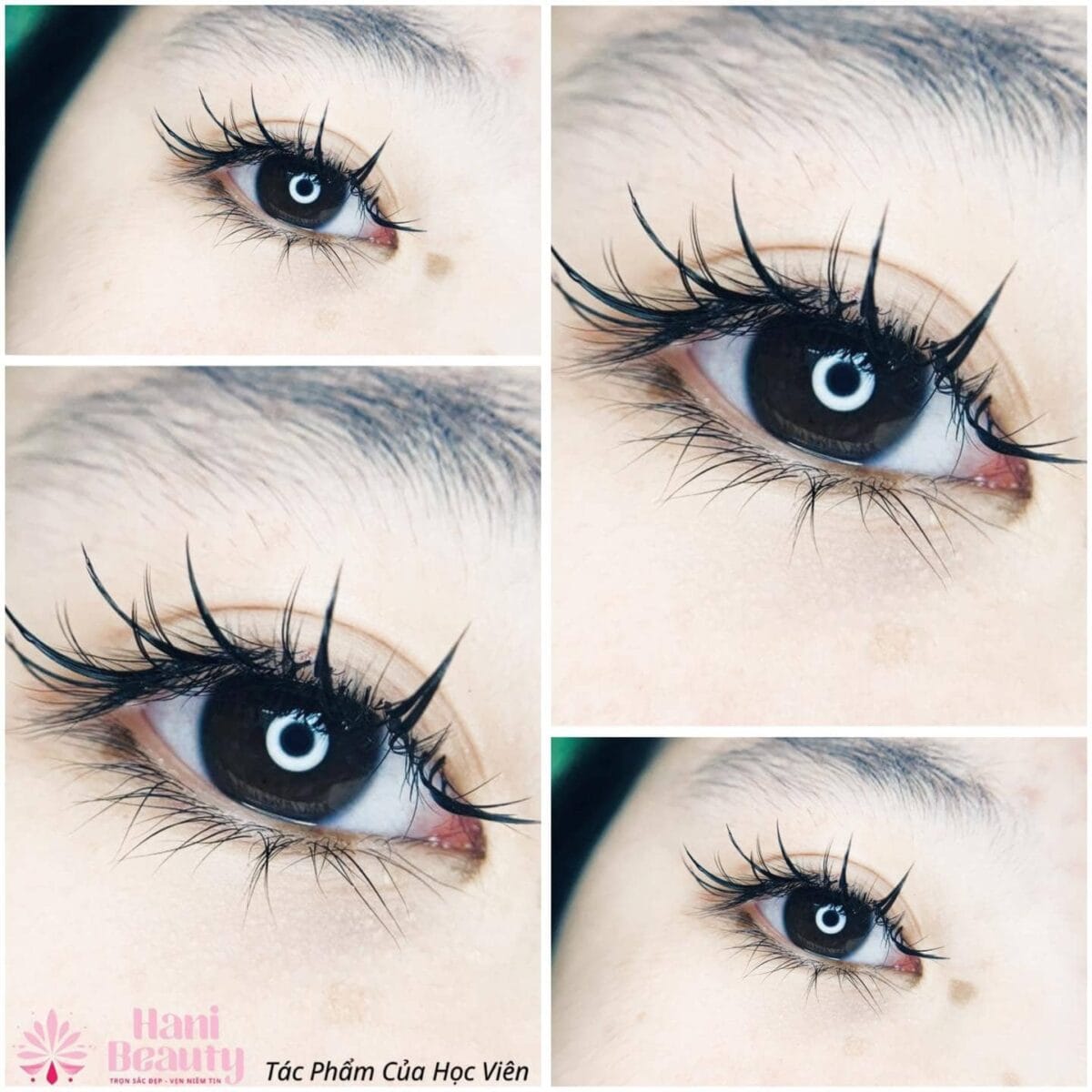Học Nối Mi Ở TPHCM Cho Người Mới Uy Tín 2025 – Địa Chỉ Đáng Tin Cậy Cho Bạn 23 Khóa học nối mi cho người mới tại Hani Beauty, lộ trình khoa học từ lý thuyết đến thực hành thực tế.