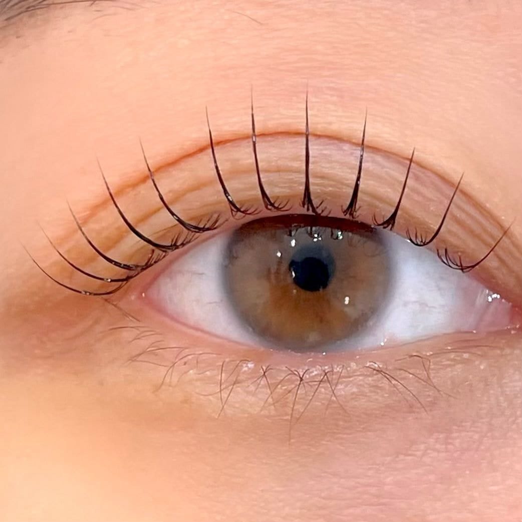 hoc uon mi nang cao Ms Hani 1