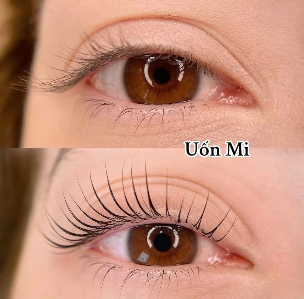 hoc uon mi nang cao Ms Hani