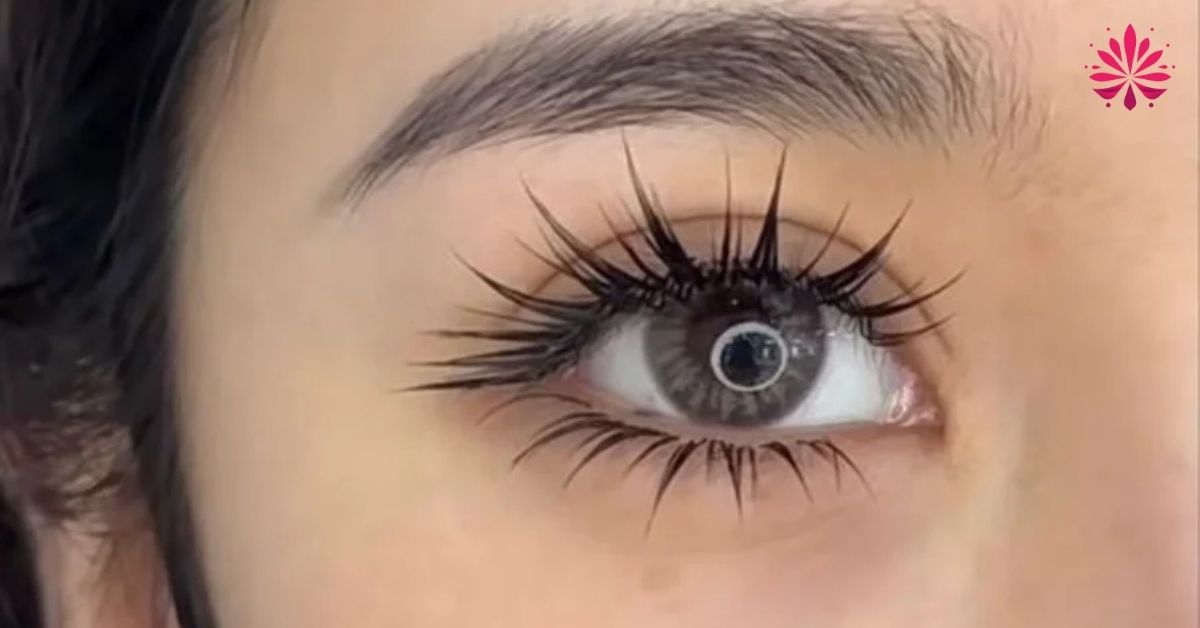 Học Nối Mi Ở TPHCM Nâng Cao Quốc Tế Hướng Dẫn Làm Kiểu Anime 10 Nối mi Anime mang đến đôi mắt to tròn, long lanh